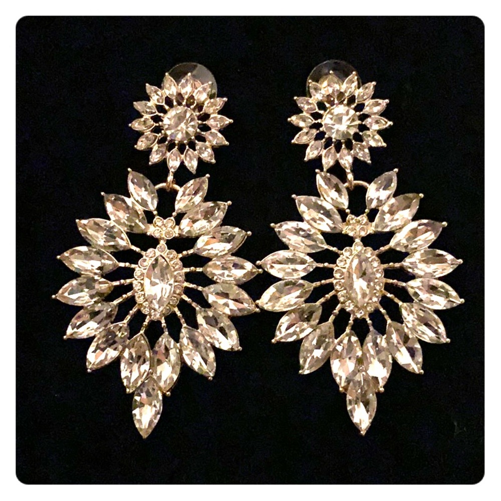 GORGEOUS Earrings!